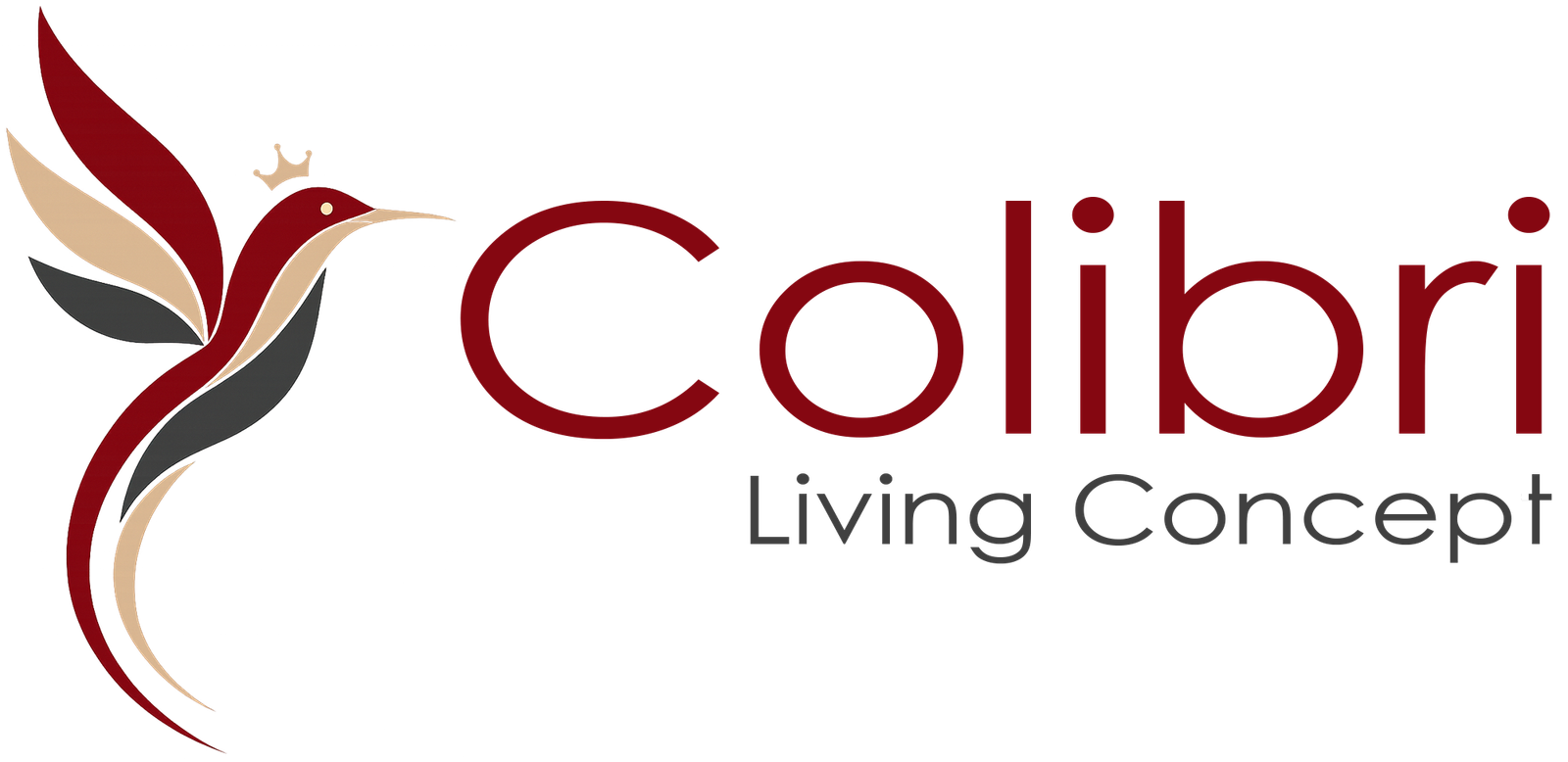 Colibri Concept